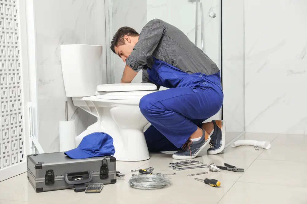 Toilet Maintenance Bracebridge